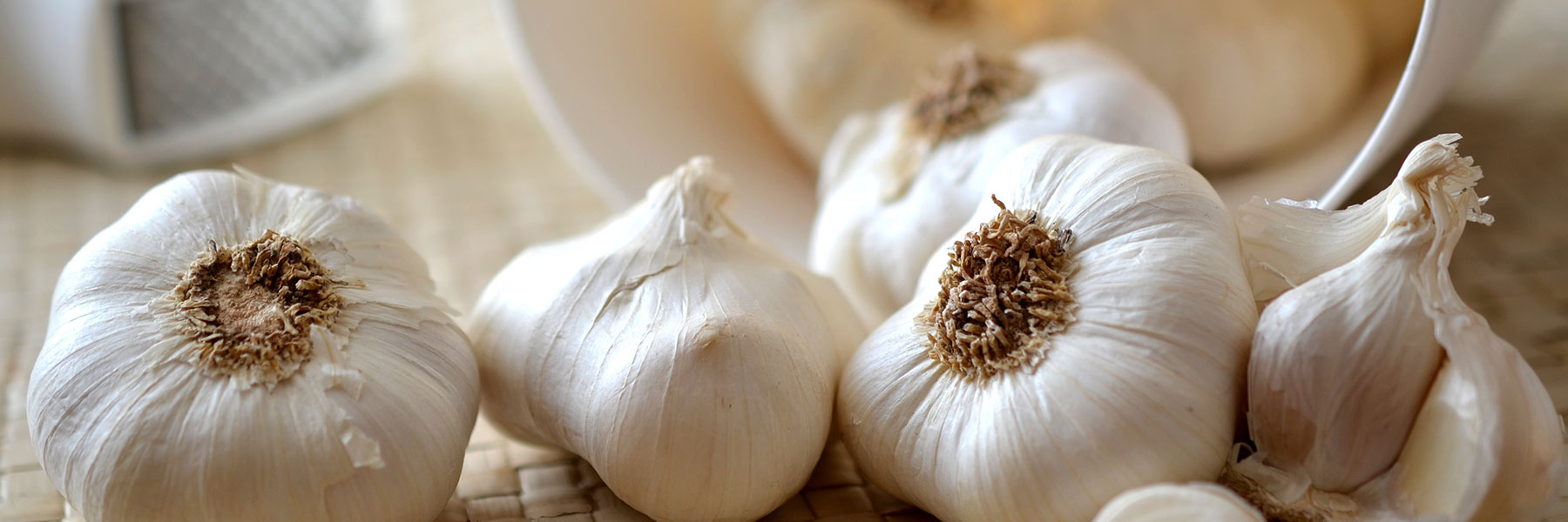 flatlinetracing.site